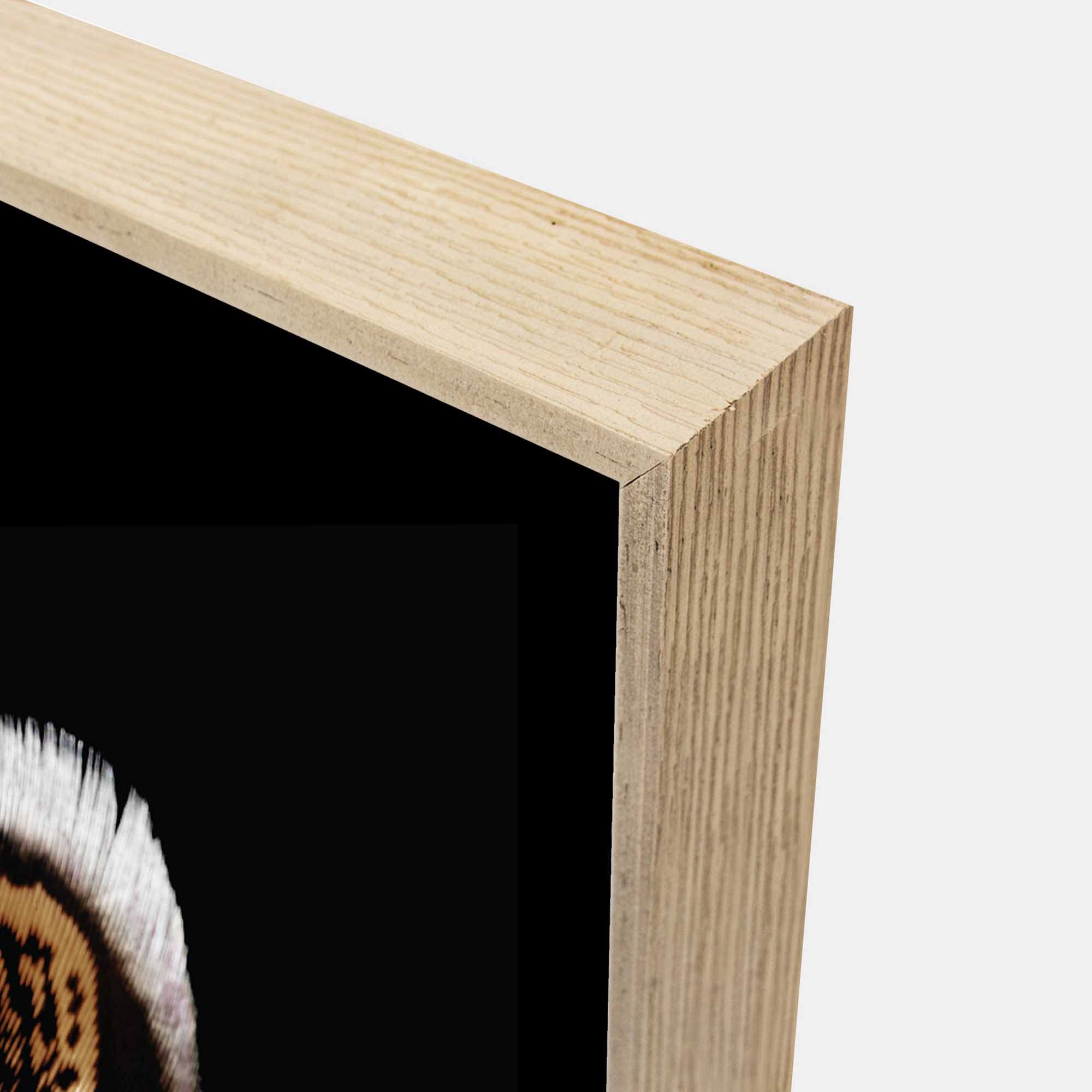Driftwood-Feather-1-NATA-corner-g