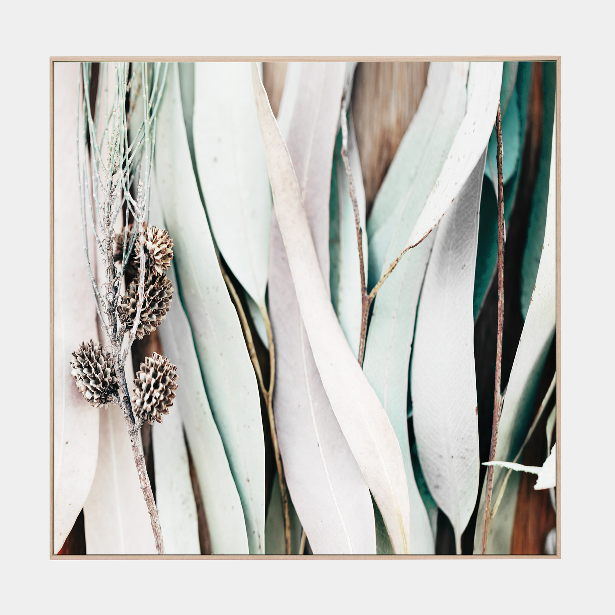 Eucalyptus Canvas Sqaure Front Grey