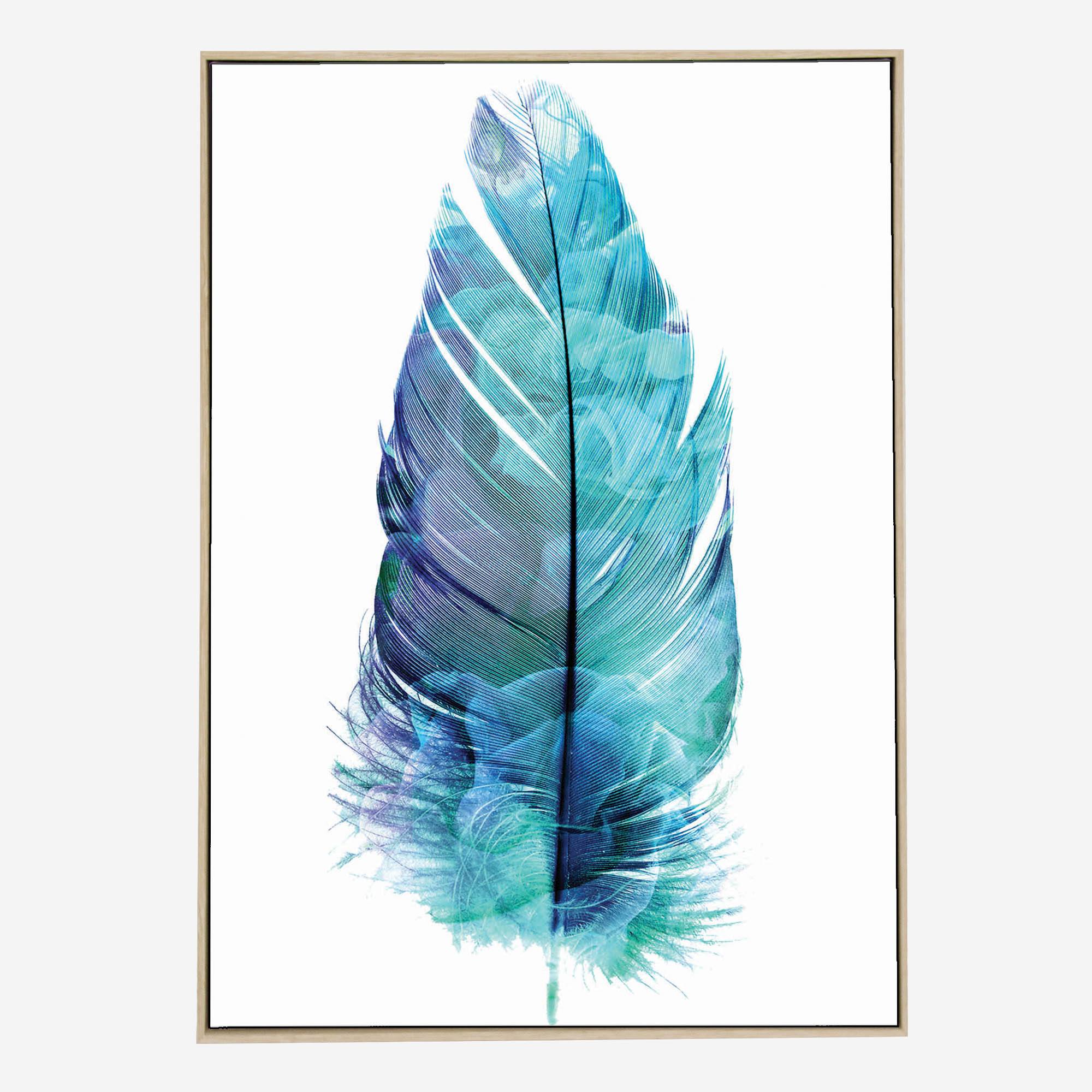 Feathers Marine-Front-Natural-Boxed-G