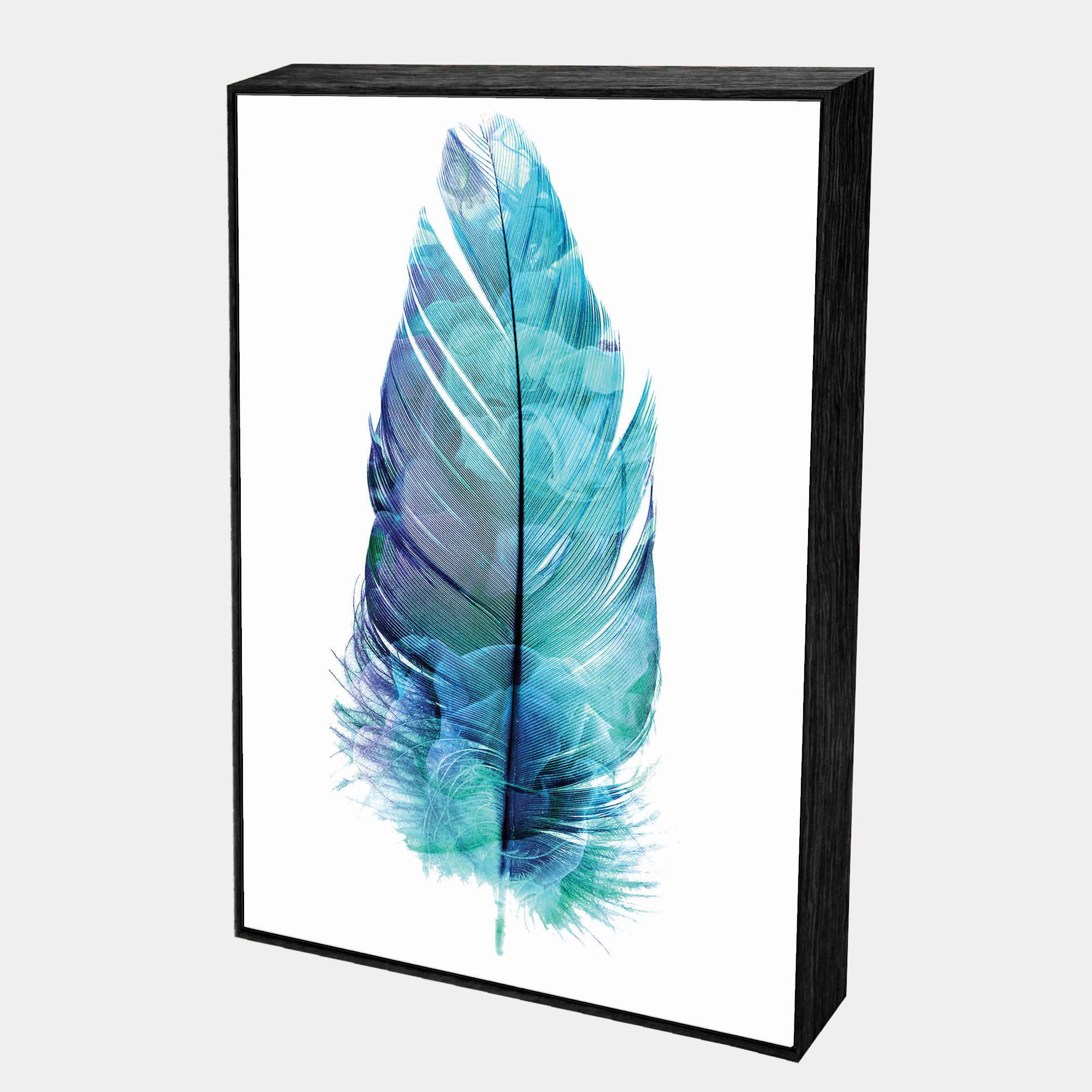 Feathers Marine-Side-Black-Boxed-G