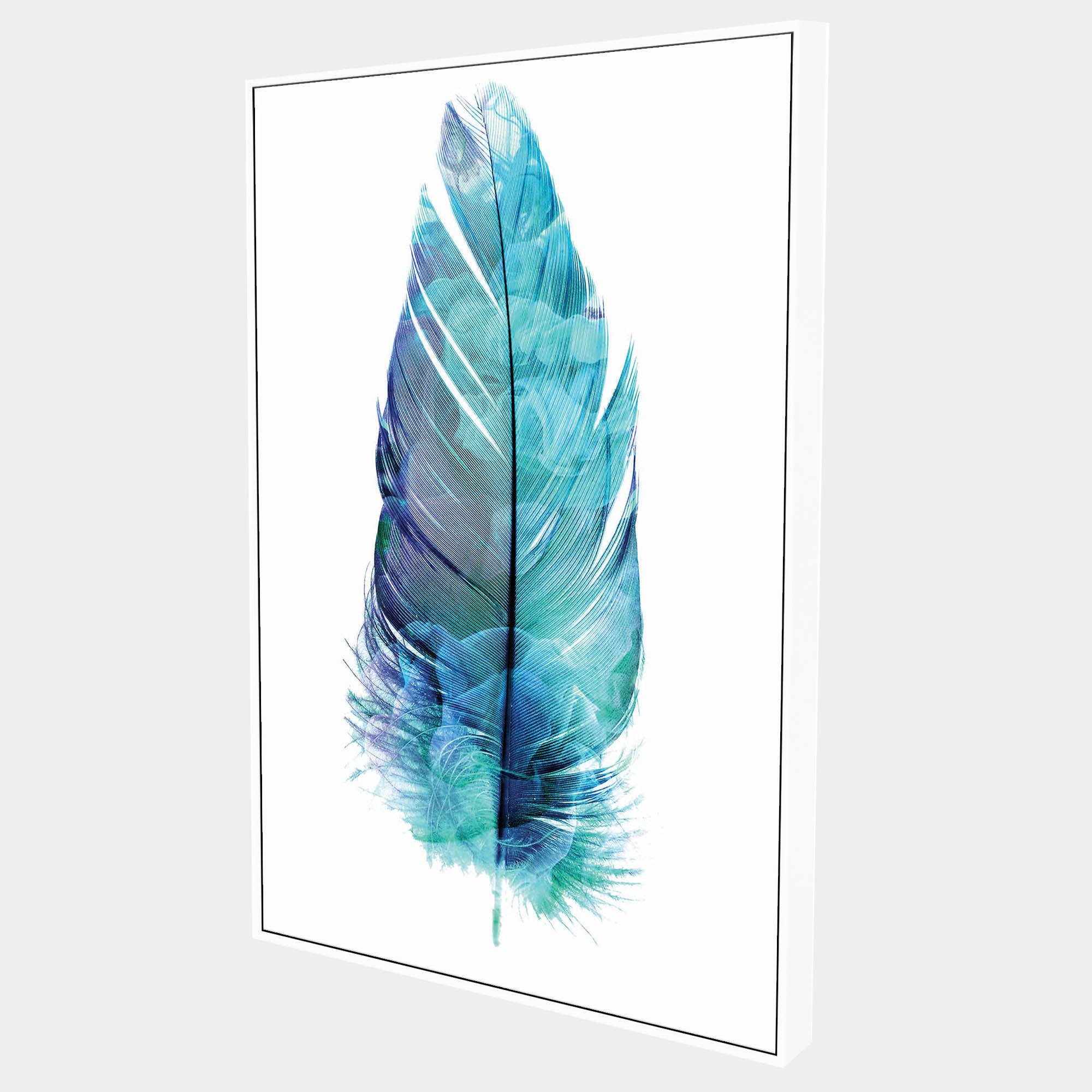 Feathers Marine-Side-White-Boxed-G