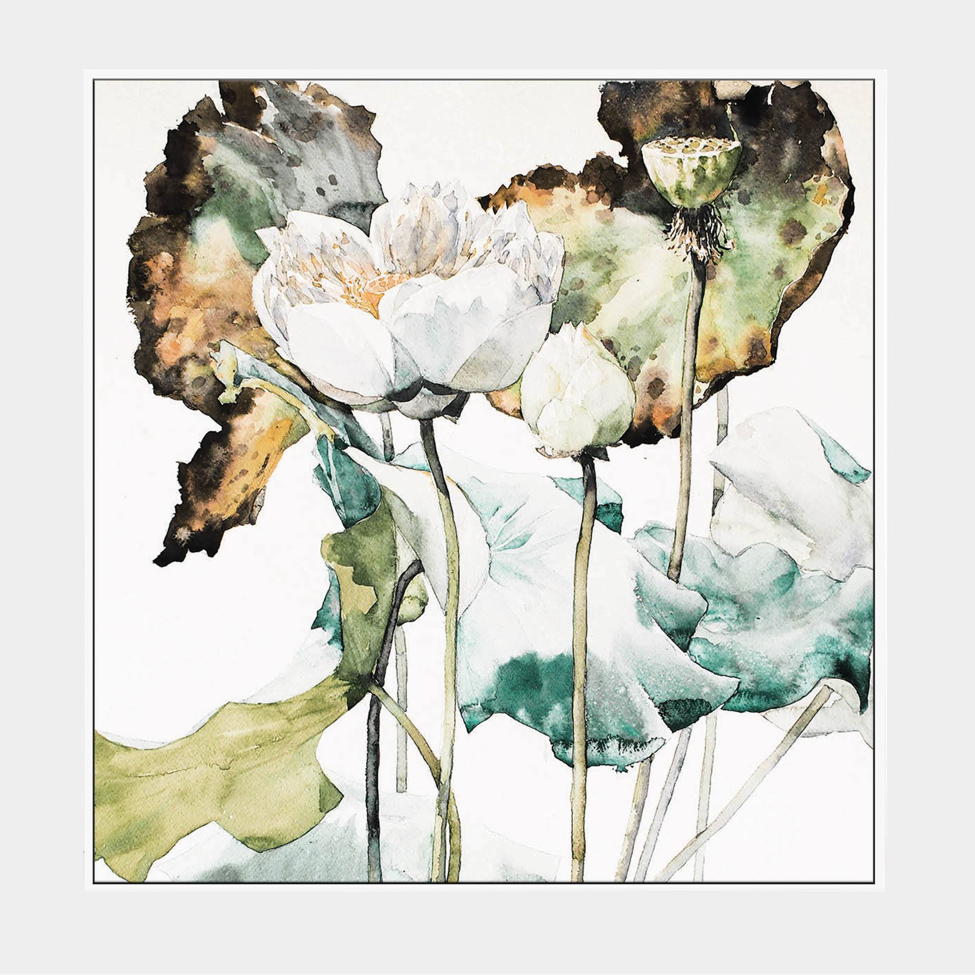 Lotus Garden-Front-White-Boxed-G