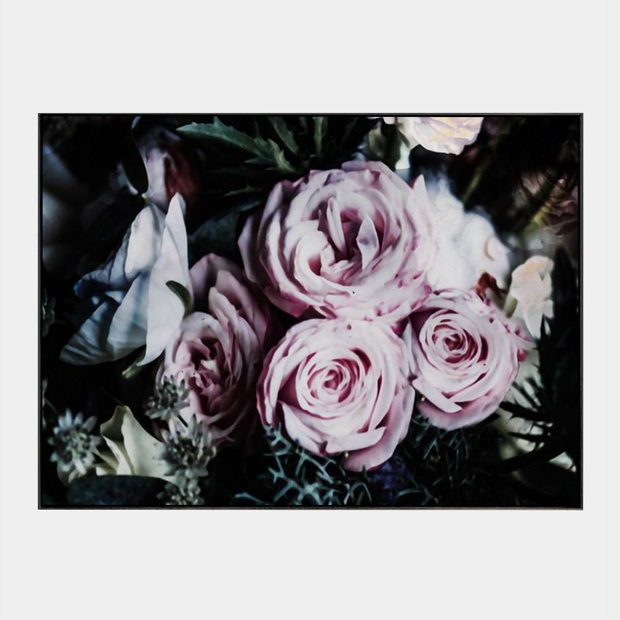 DarknessRoses-BLK-Front-Grey