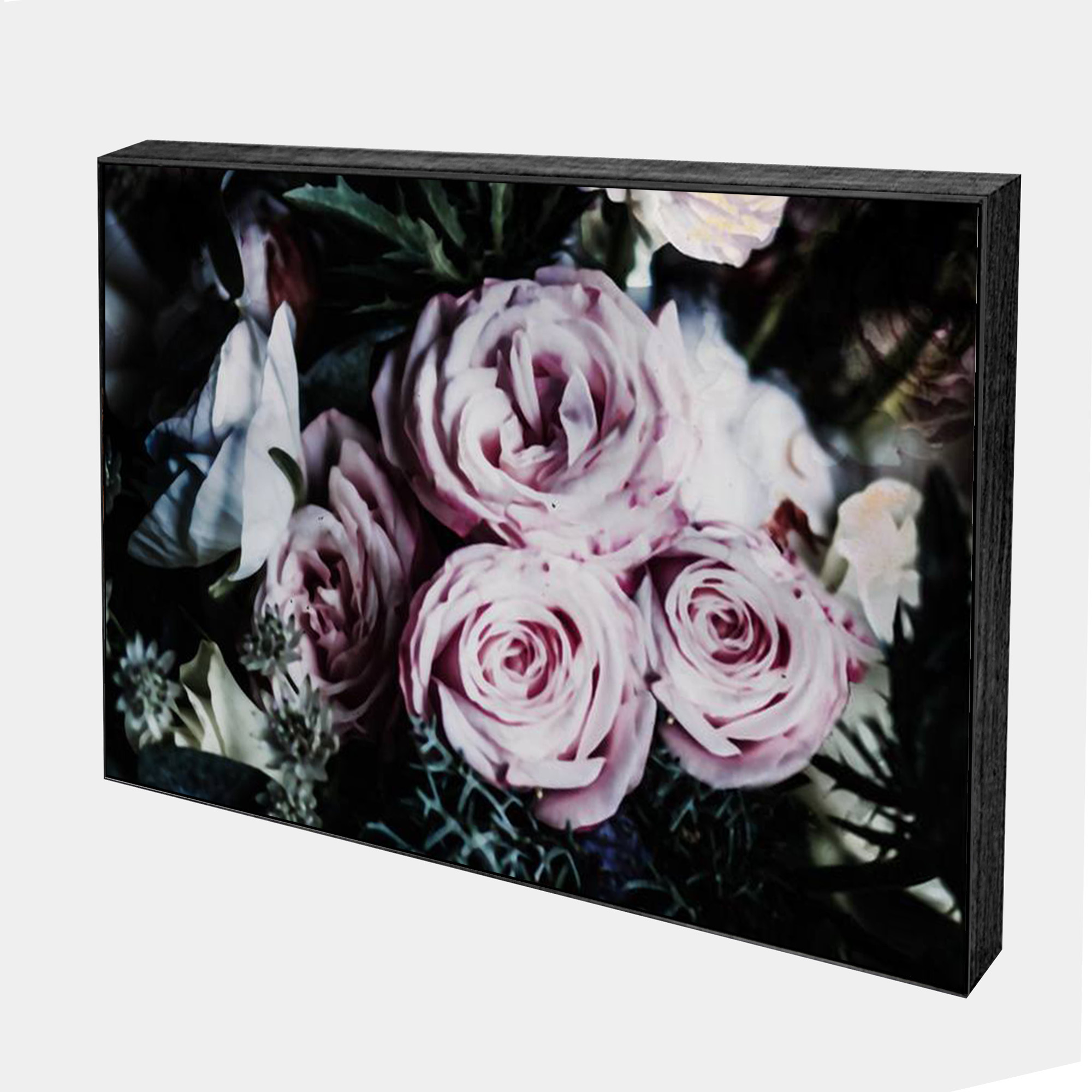 Darkness_Roses_Side_Grey