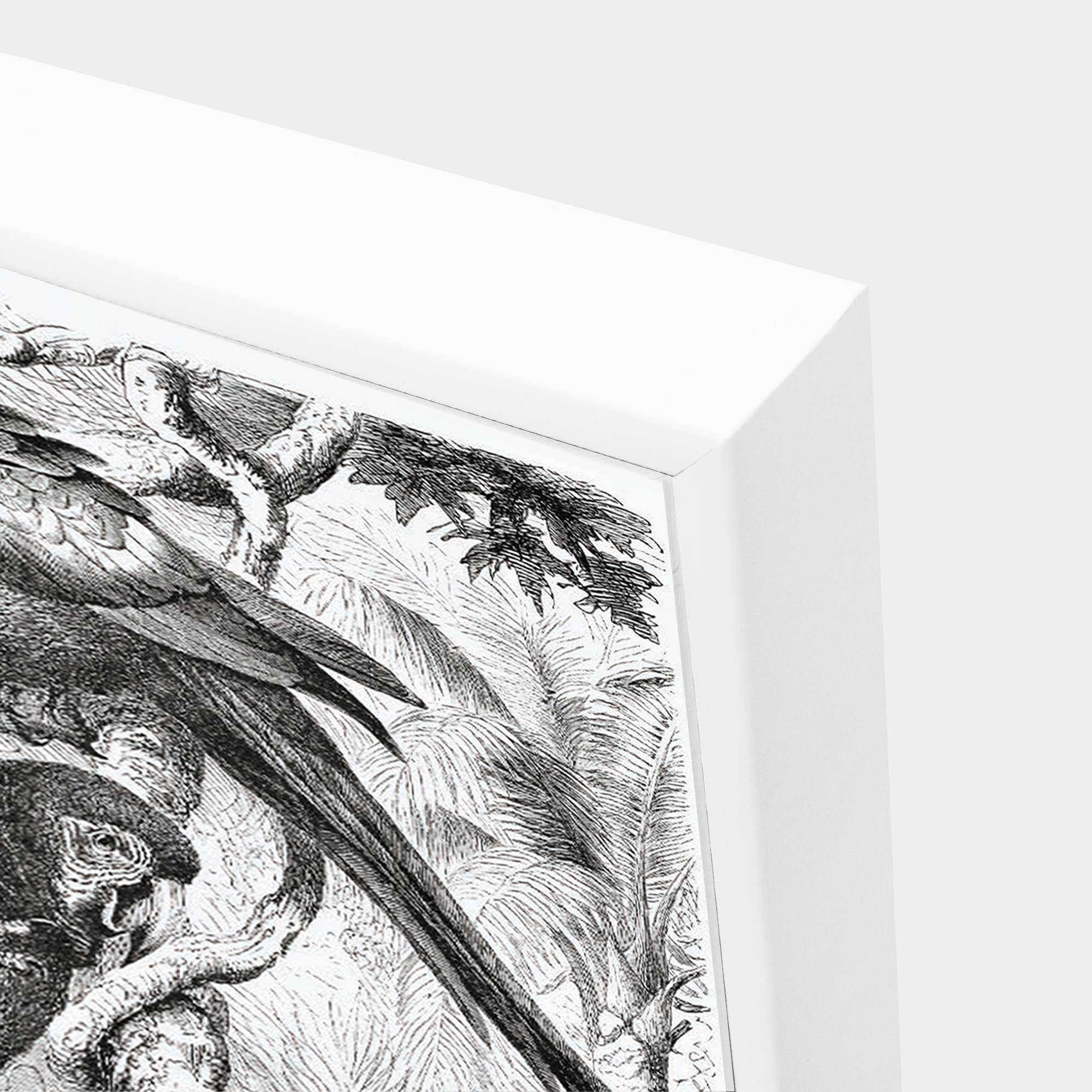 Parrot_Kingdom_Corner_Grey_W
