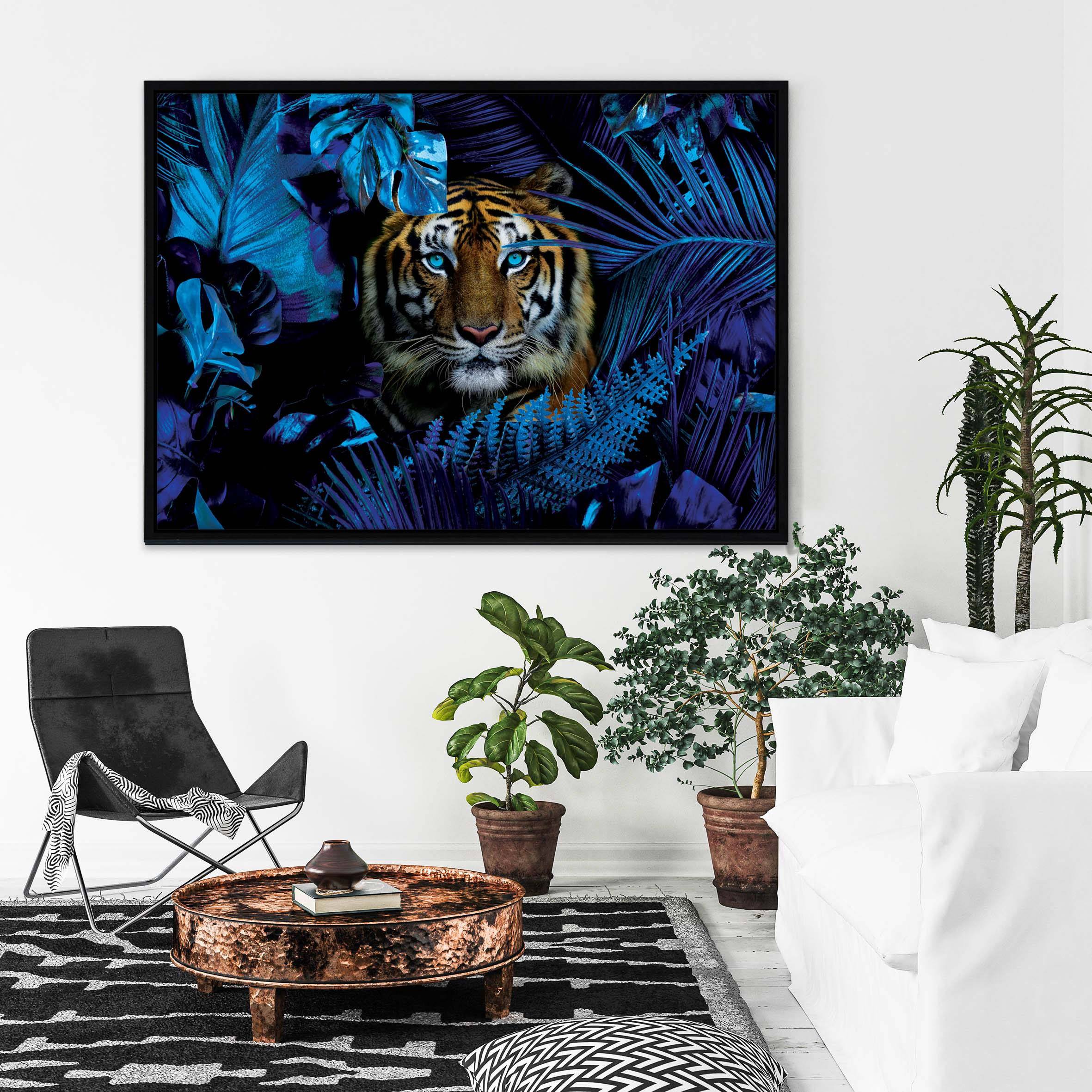 Blue Jungle Stalker-room