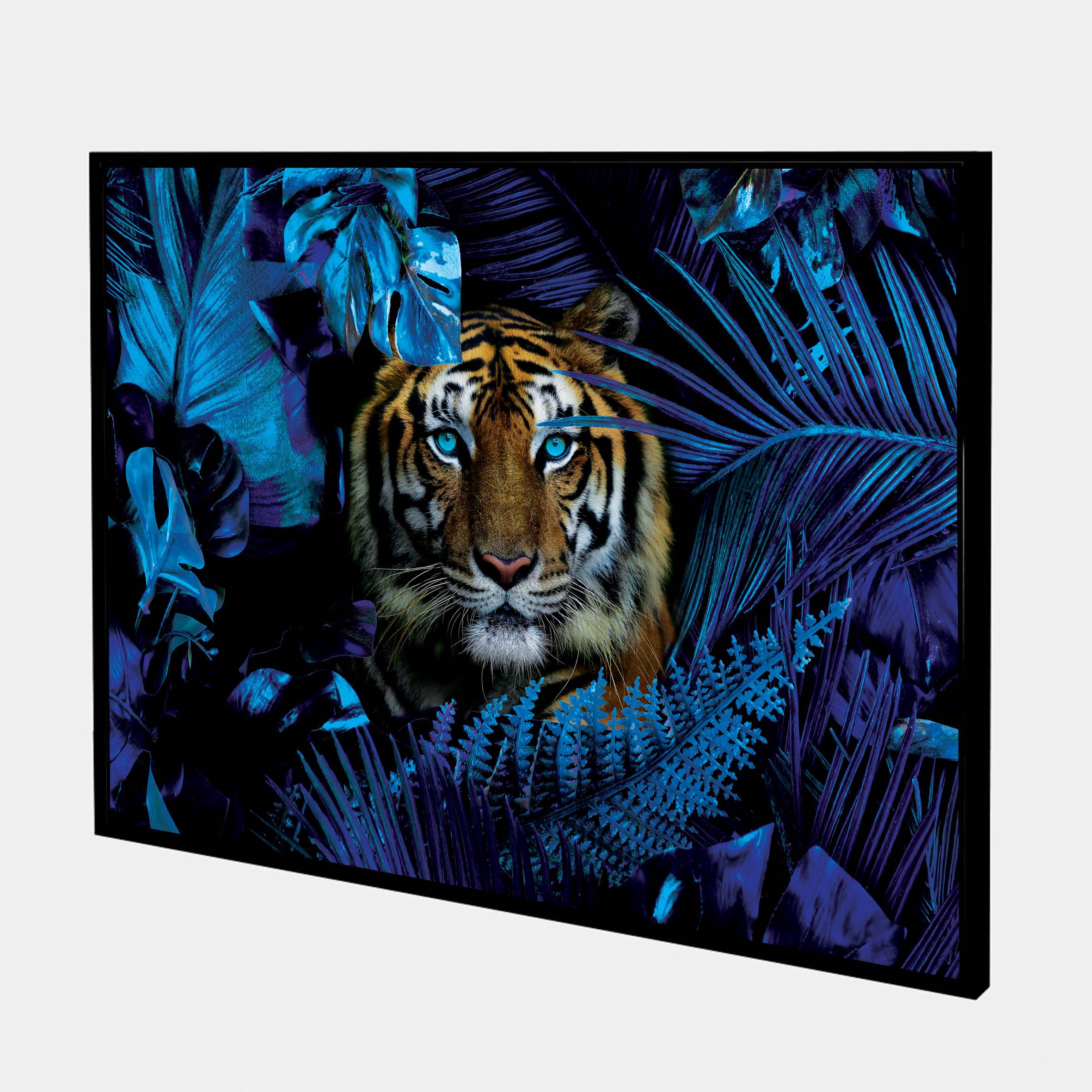 Blue Jungle Stalker-side-blk-g