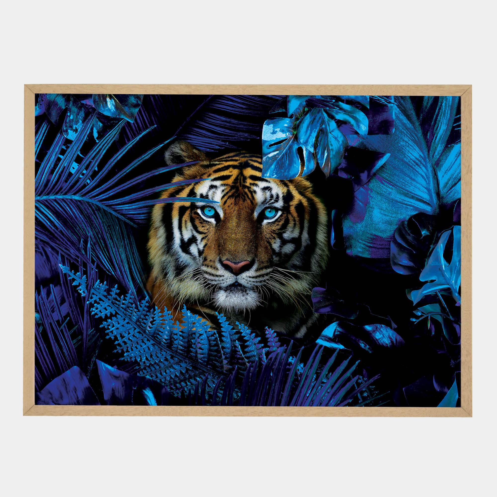 Blue Jungle Tiger-Front-Natural-G