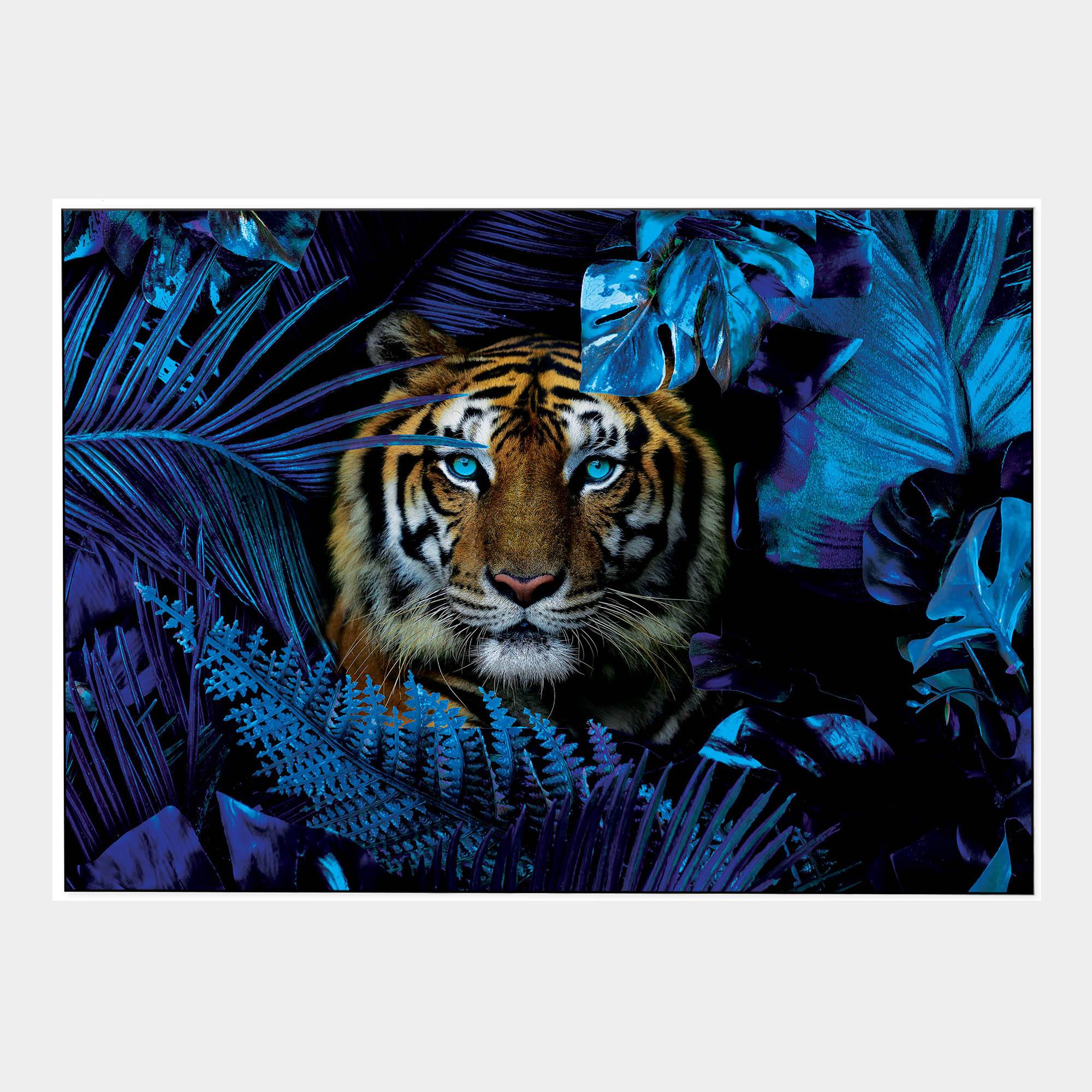 Blue Jungle Tiger-Front-White-Boxed-G