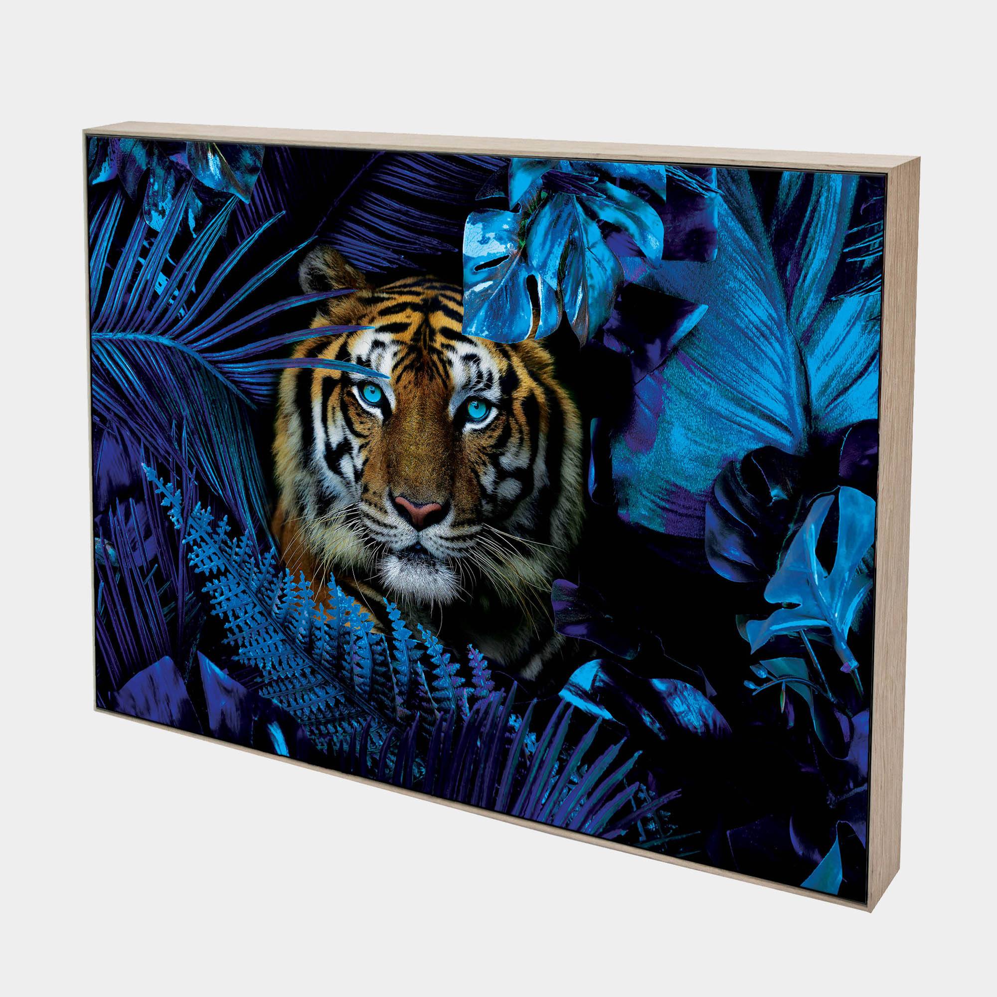 Blue Jungle Tiger-Side-Natural-Boxed-G