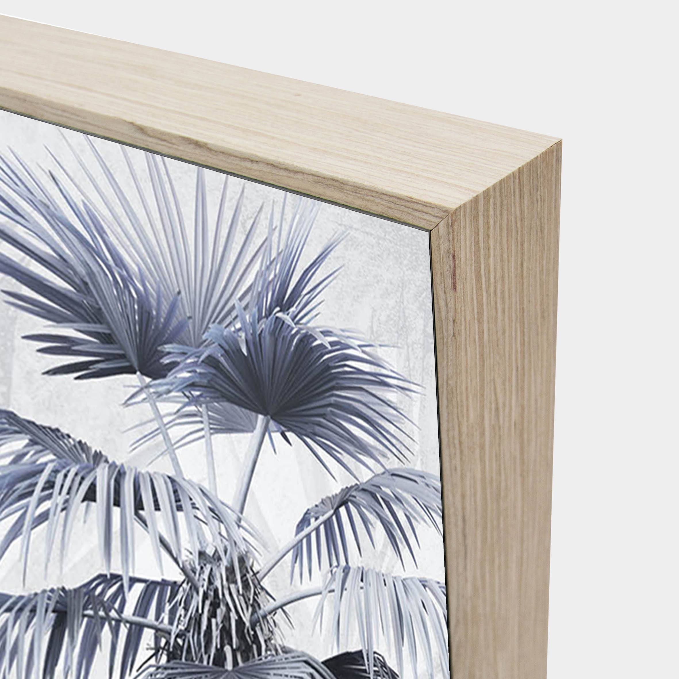 Bluejay-palms-corner-nat-g