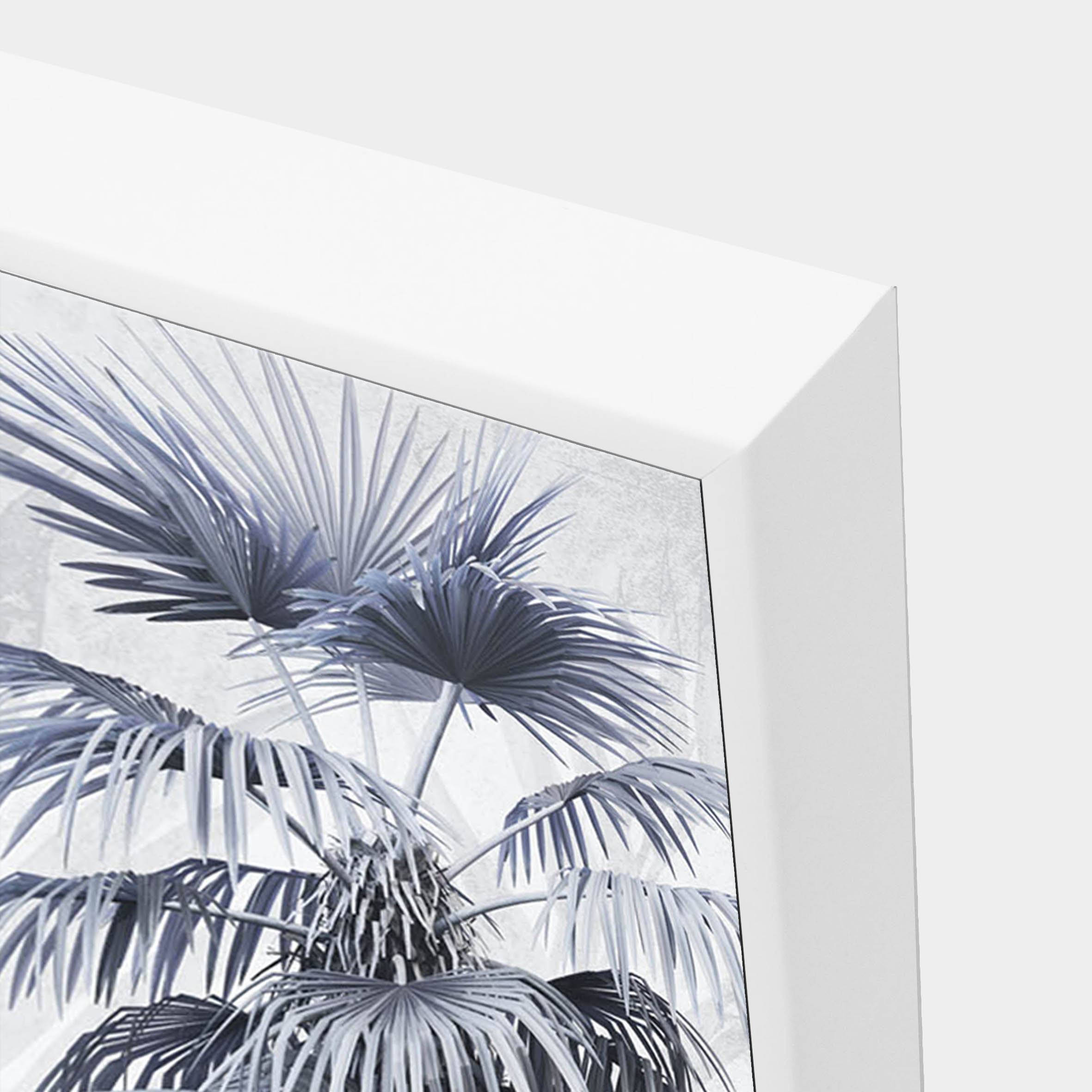 Bluejay-palms-corner-wht-g