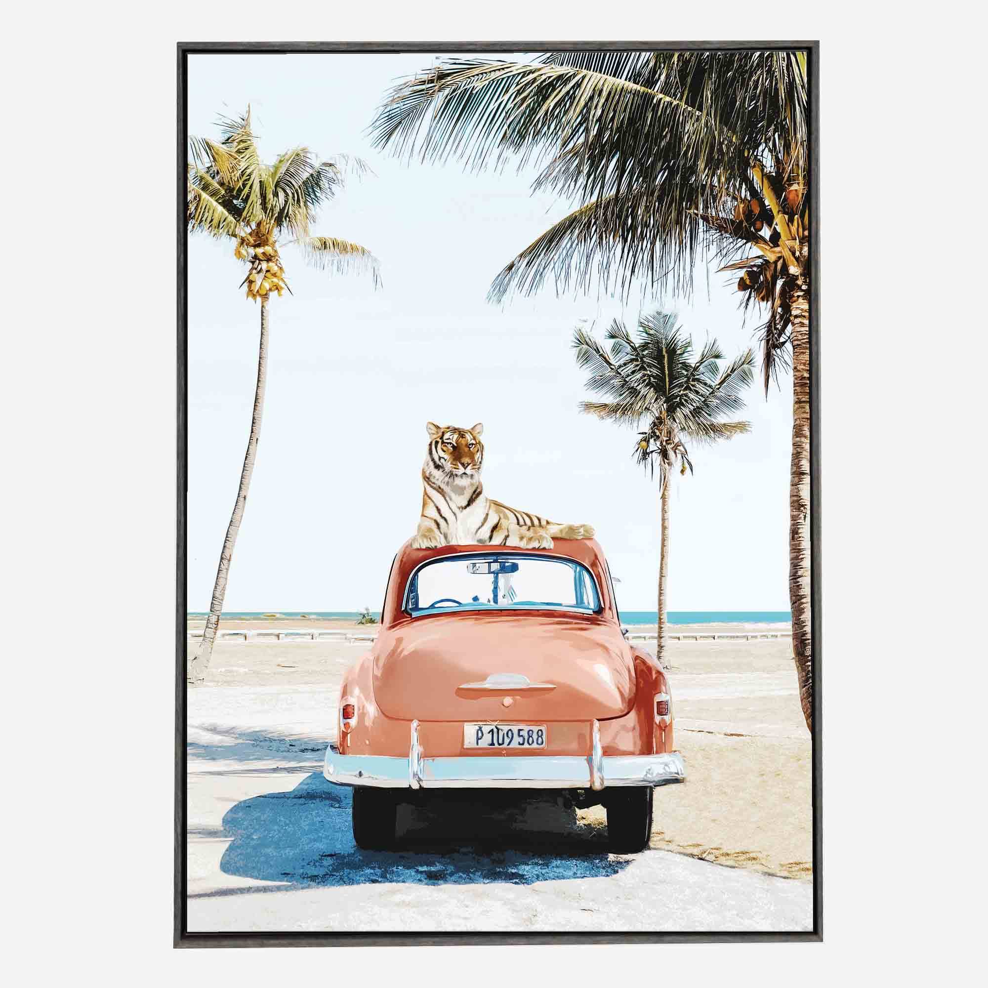 Cuban-tiger-front-blk-g