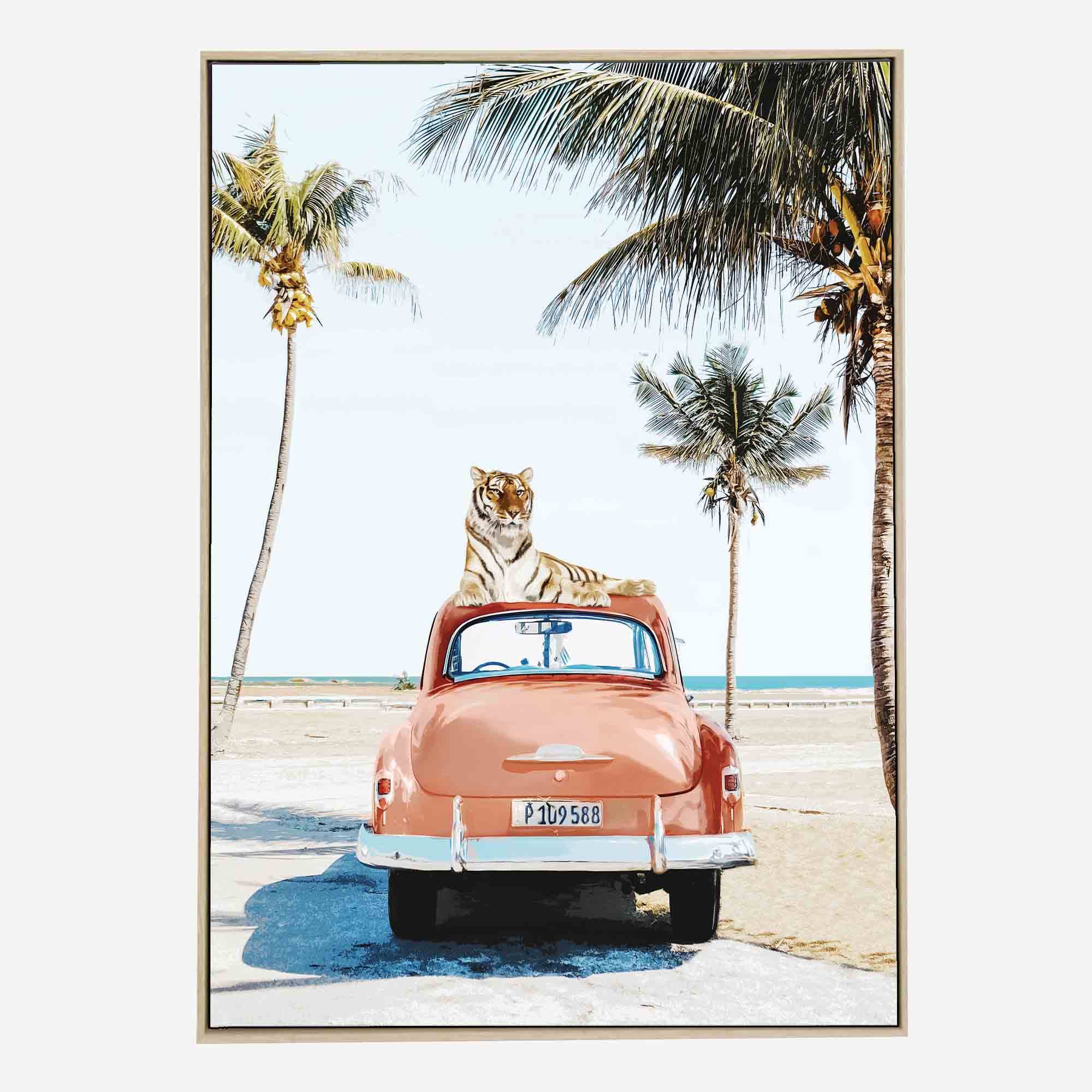 Cuban-tiger-front-nat-g