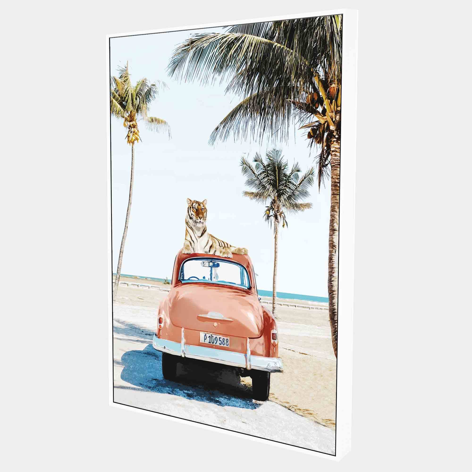 Cuban-tiger-side-wht-g