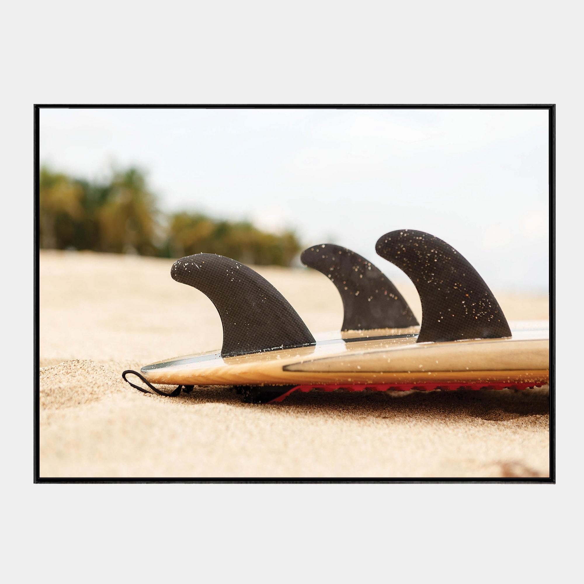 Fins-Front-Blck-Bxd-G