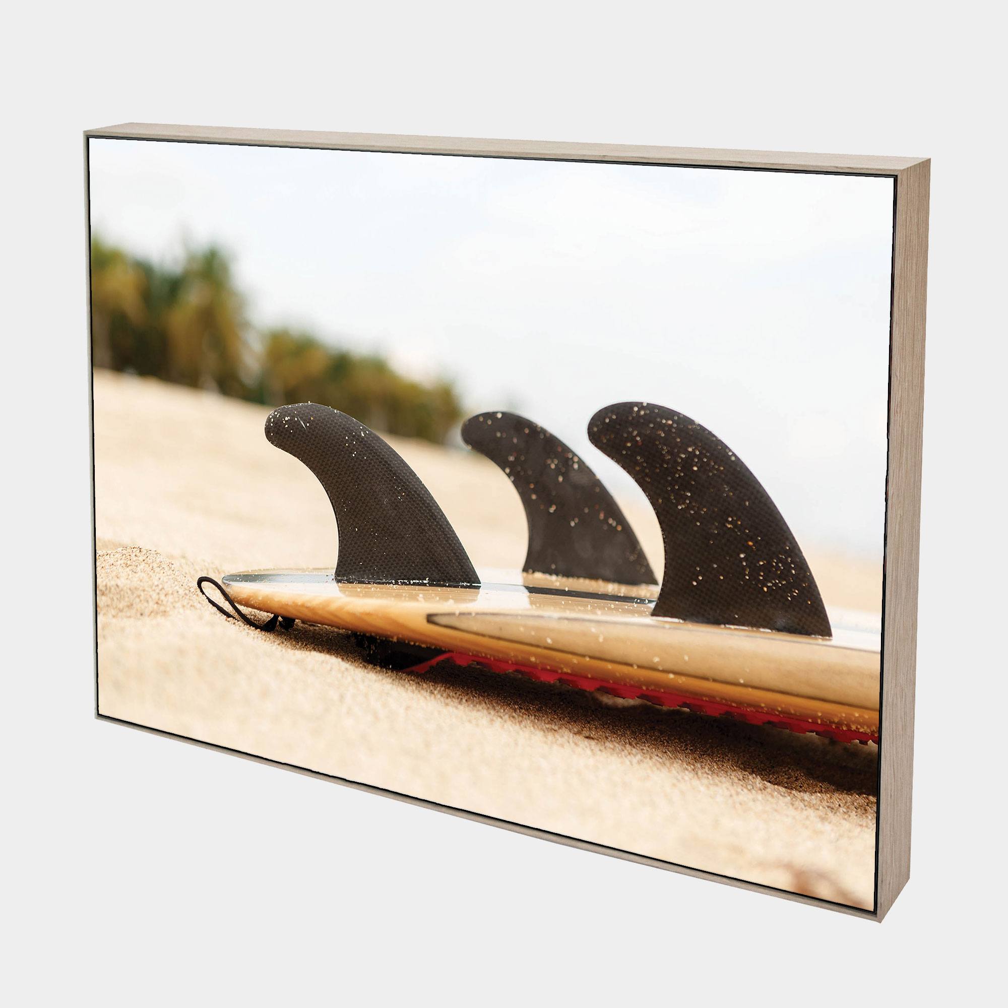 Fins-SIde-Ntrl-Bxd-G