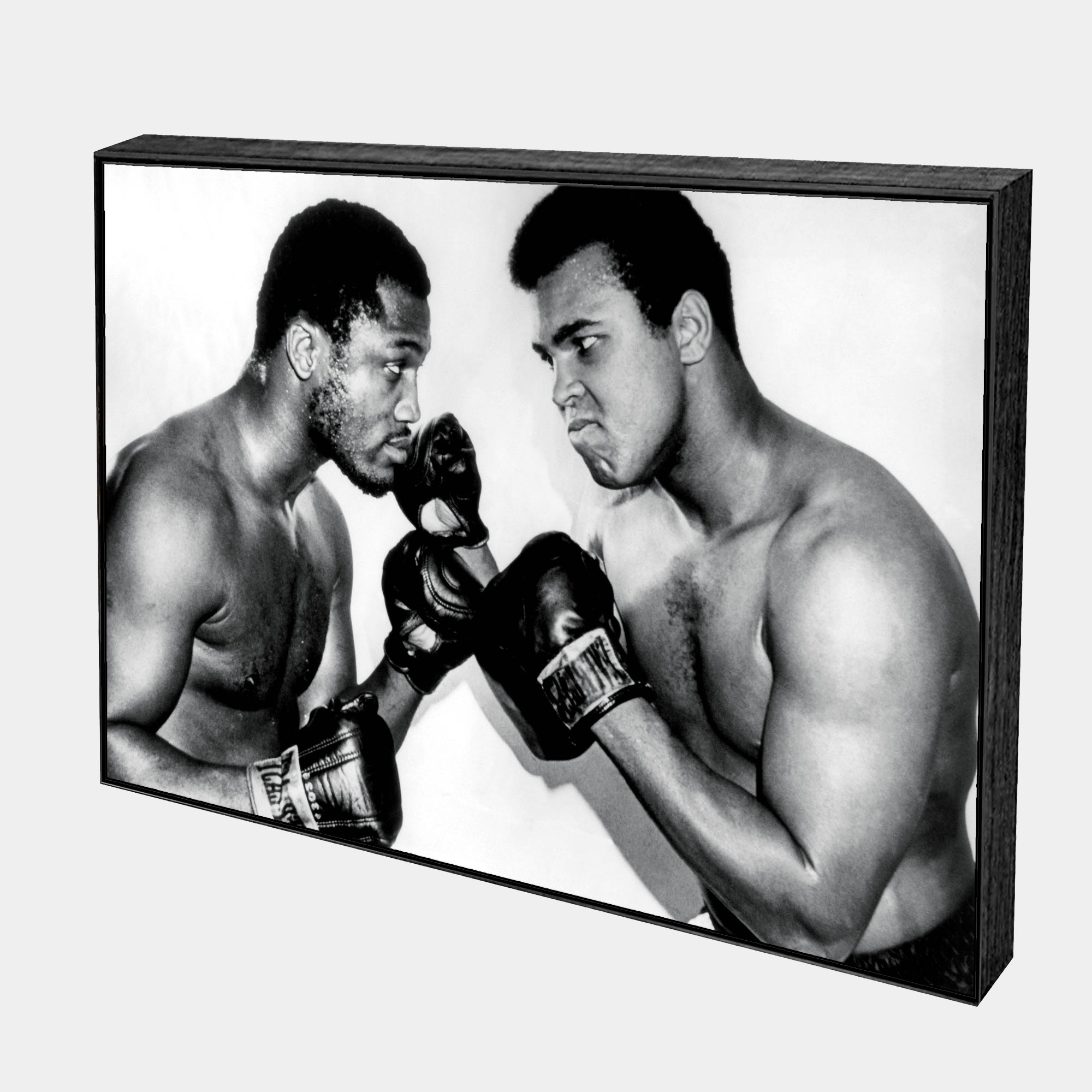Heavyweights-Side-Black-Boxed-G