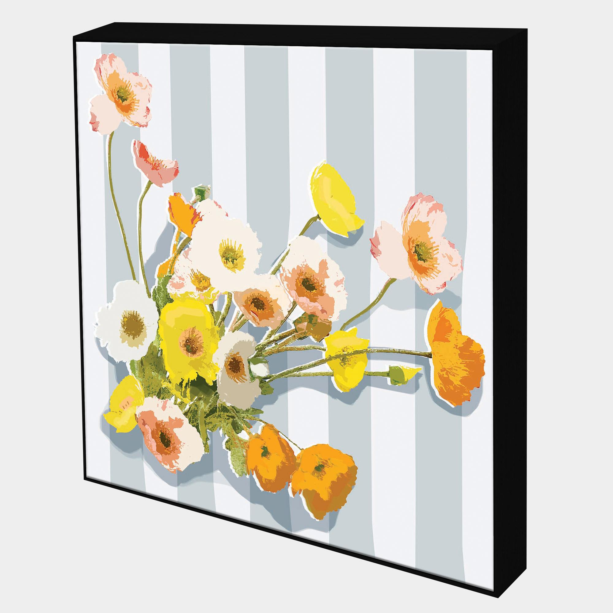 Amapola-Side-Black-Boxed-G