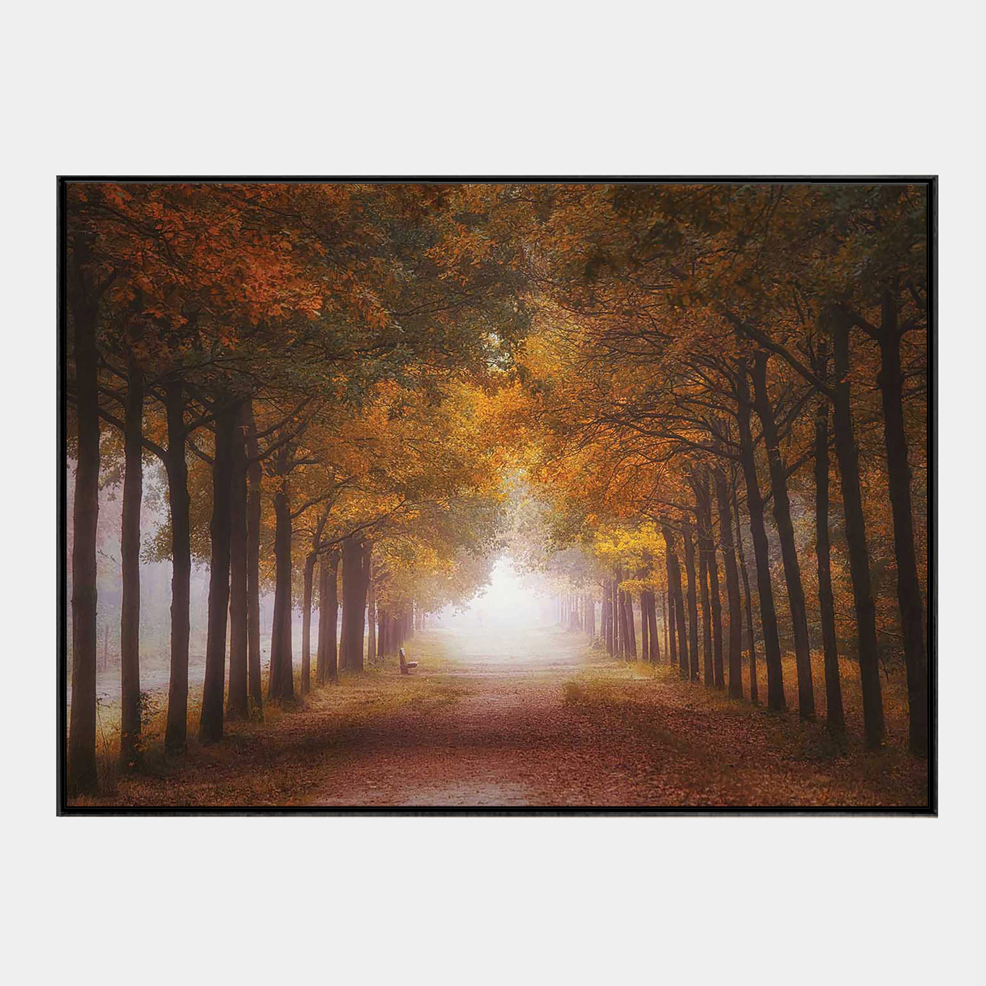 Amber-Walking-Path-Front-Black-Boxed-G