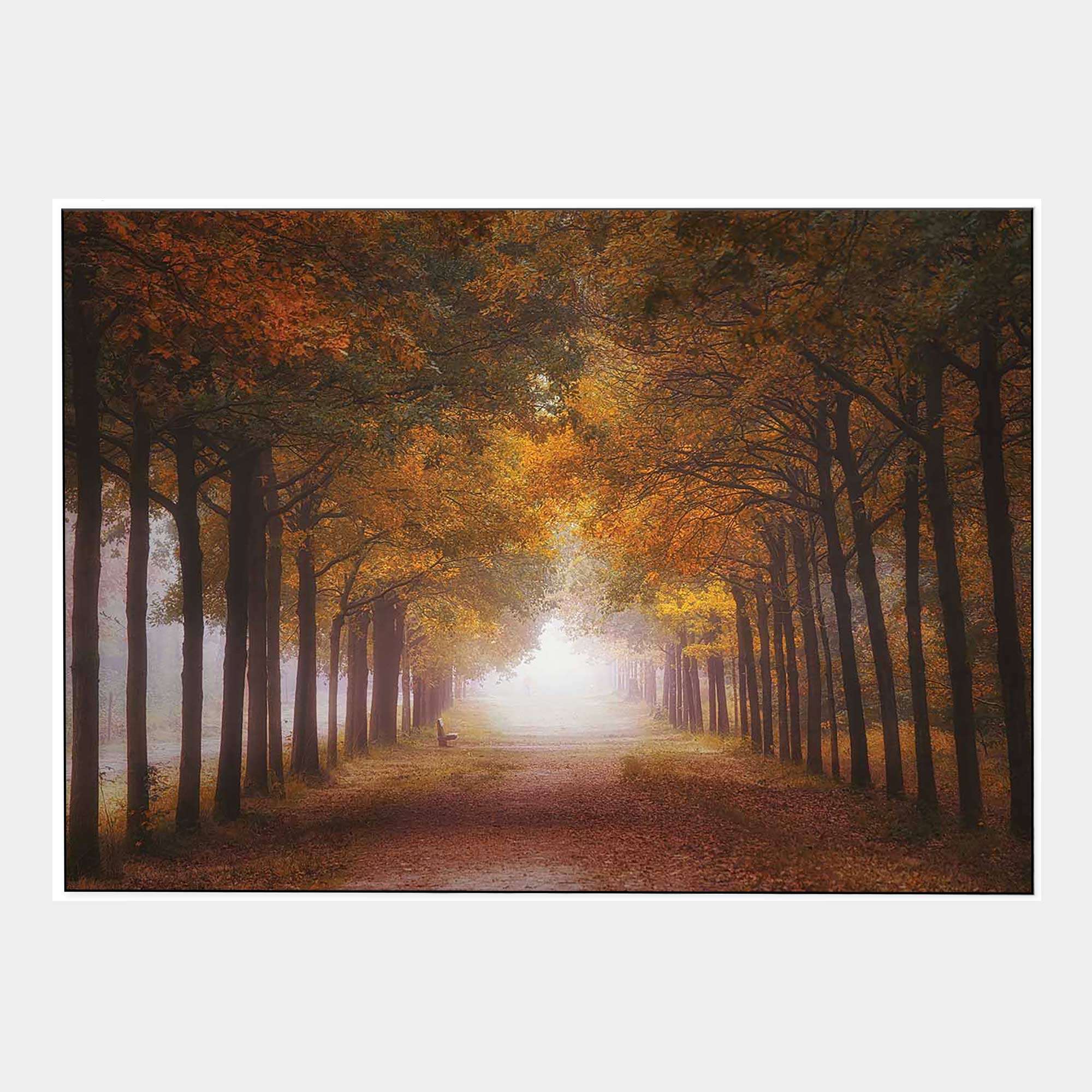 Amber-Walking-Path-Front-White-Boxed-G