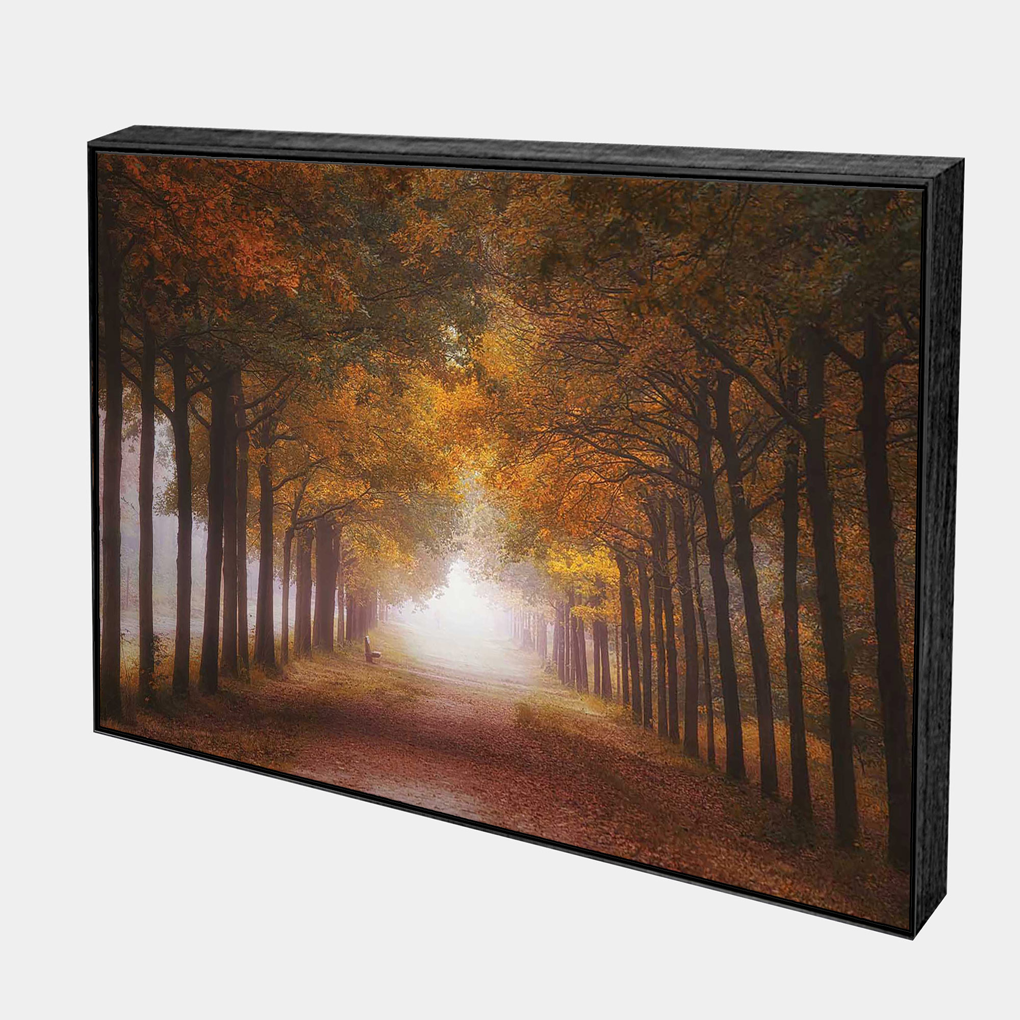 Amber-Walking-Path-Side-Black-Boxed-G