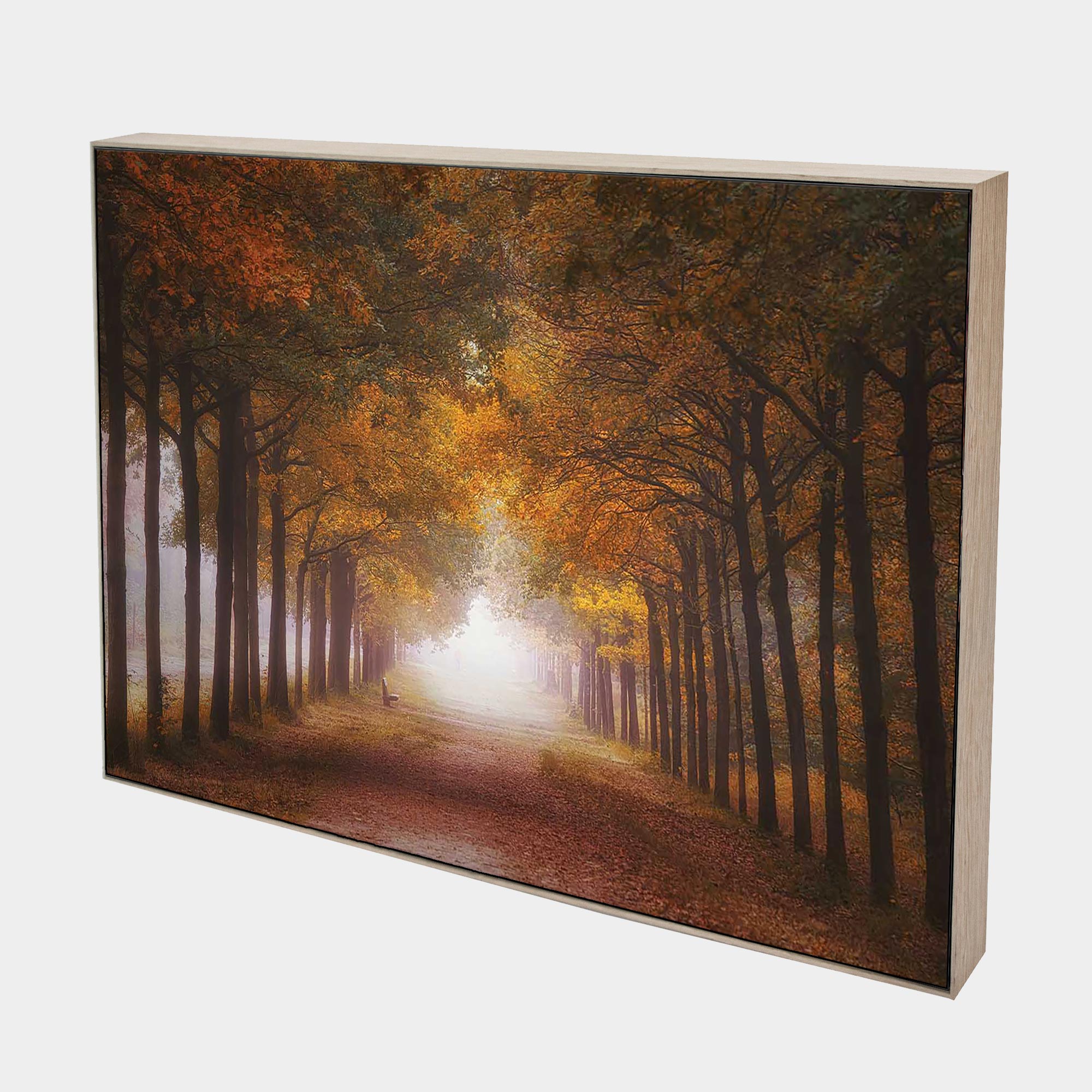 Amber-Walking-Path-Side-Natural-Boxed-G