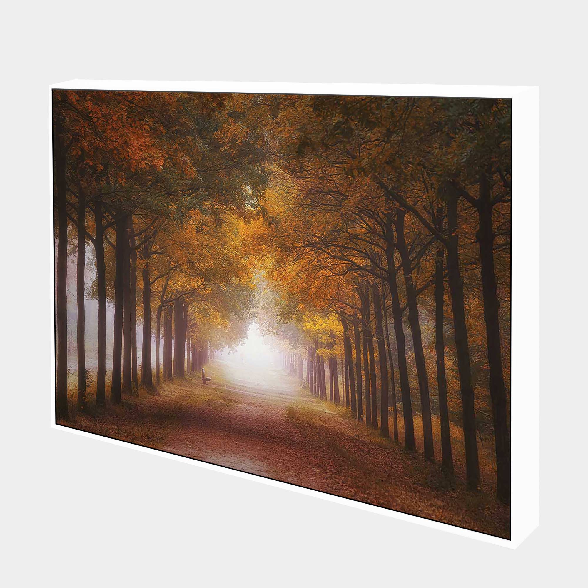 Amber-Walking-Path-Side-White-Boxed-G