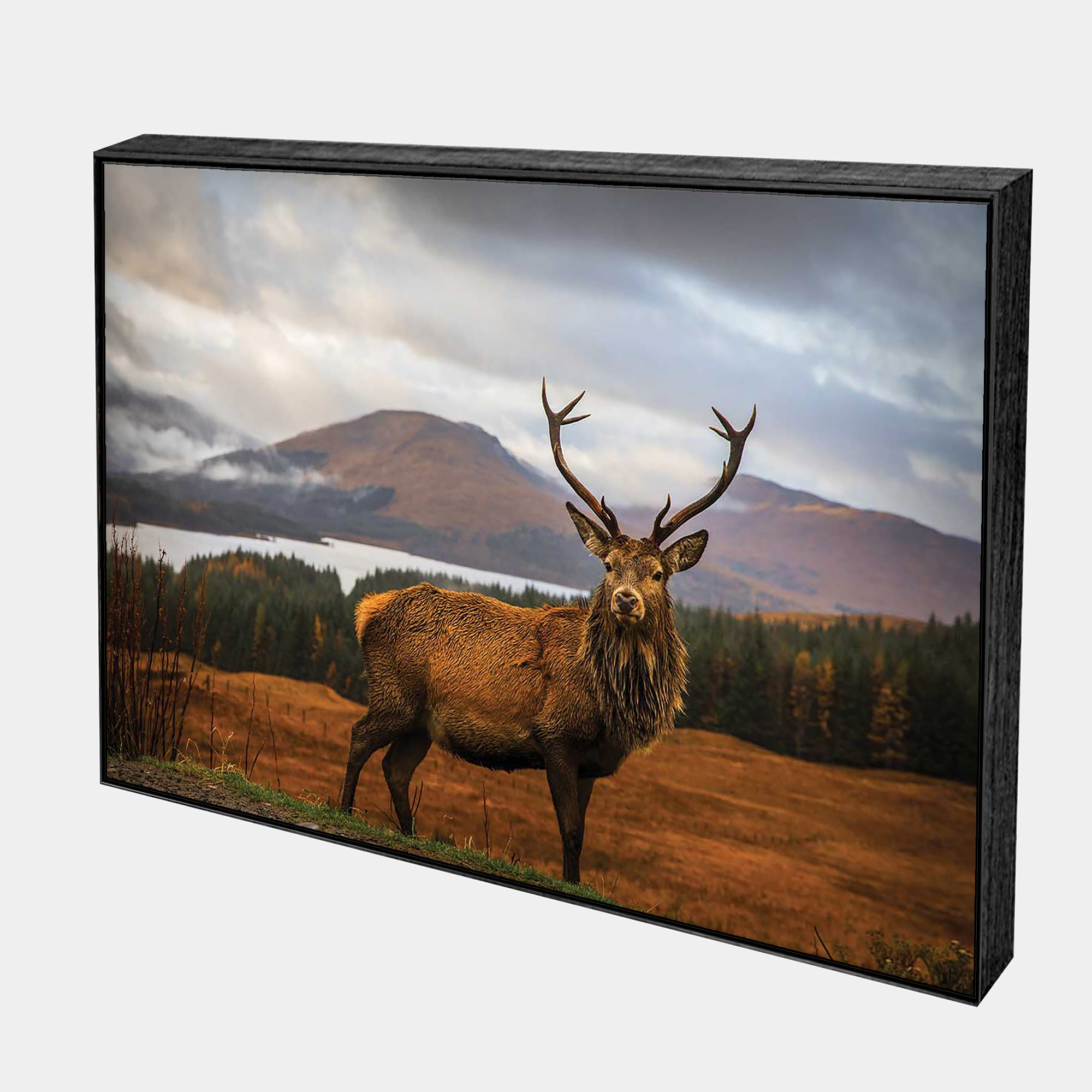 Arthur-Side-Black-Boxed-G