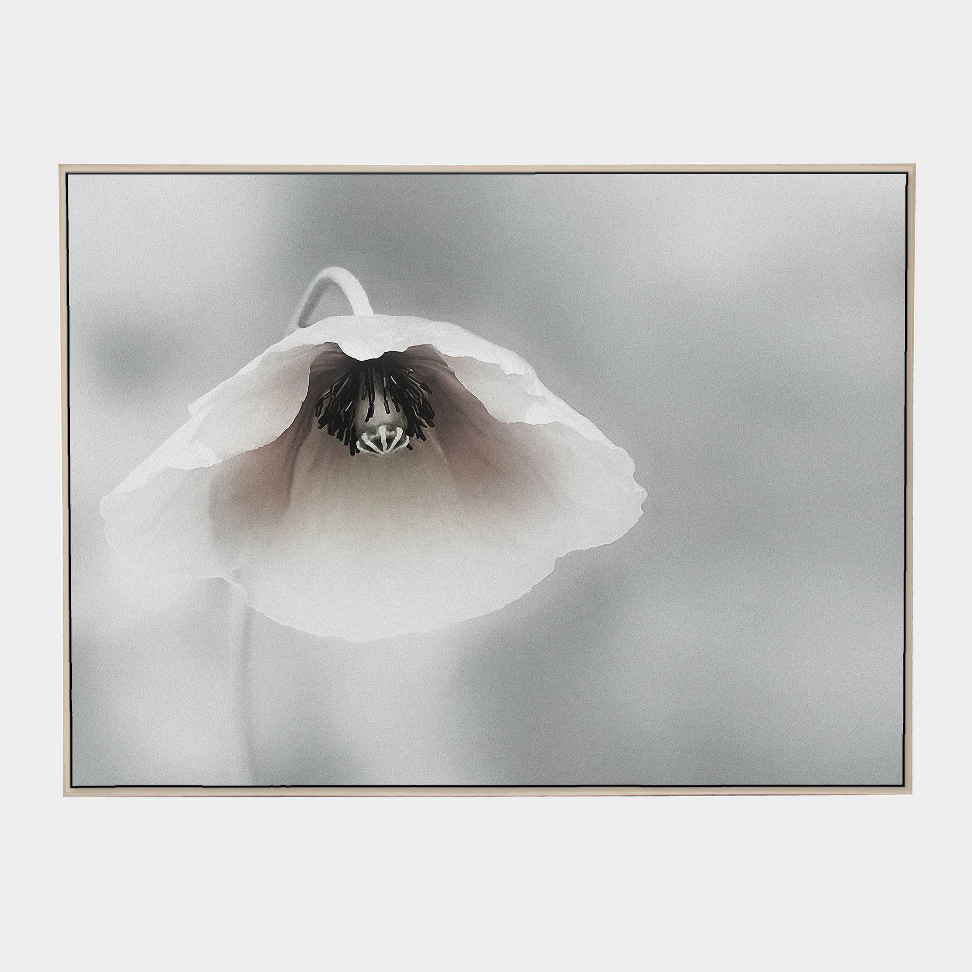 Piet-Front-Natural-Boxed-G