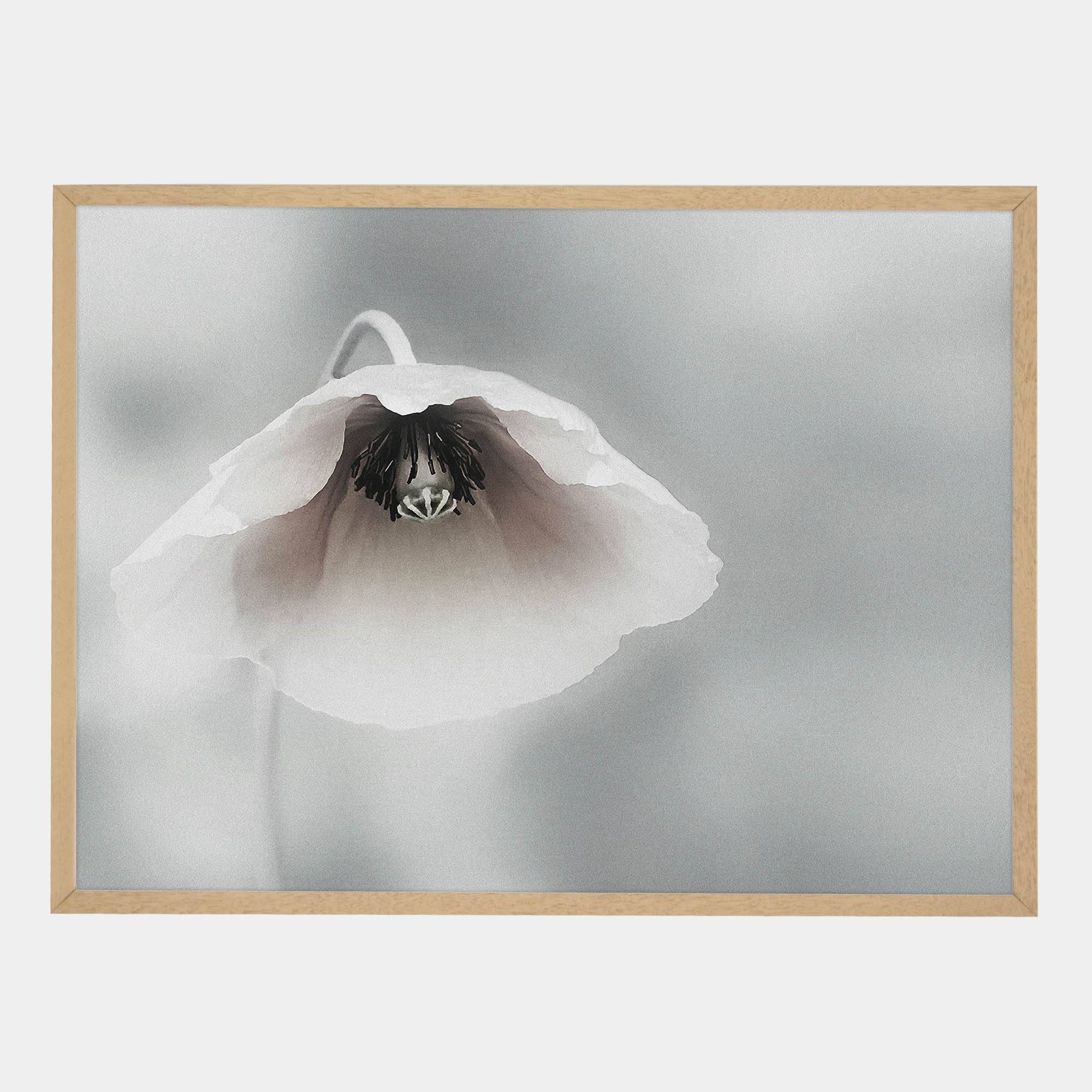 Piet-Front-Natural-G