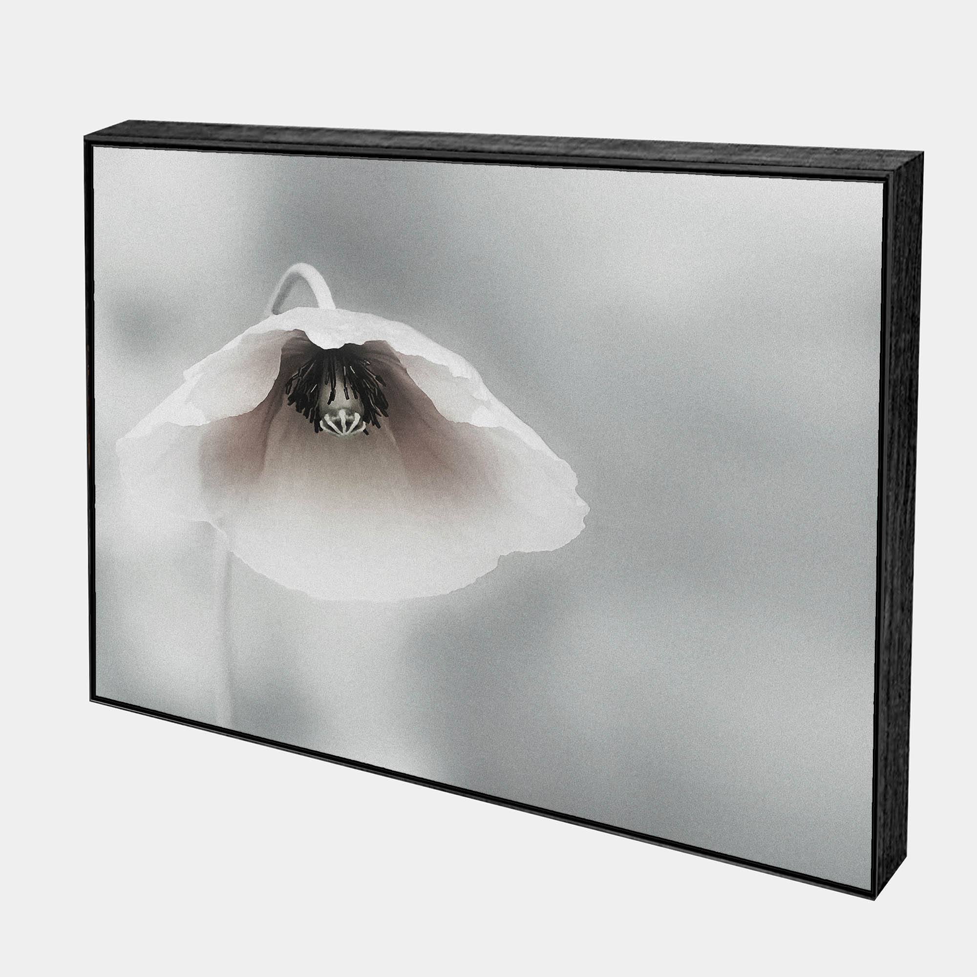 Piet-Side-Black-Boxed-G