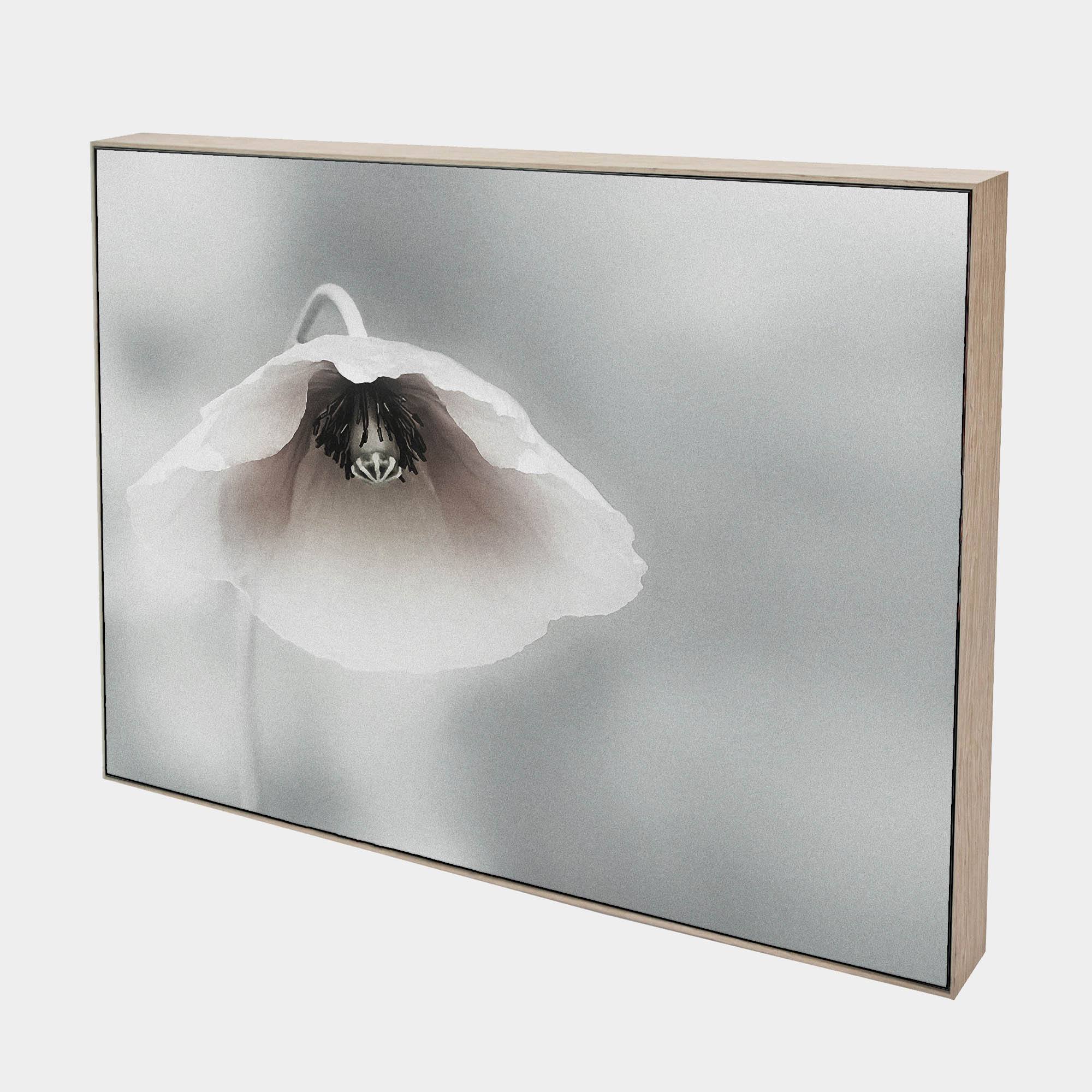 Piet-Side-Natural-Boxed-G