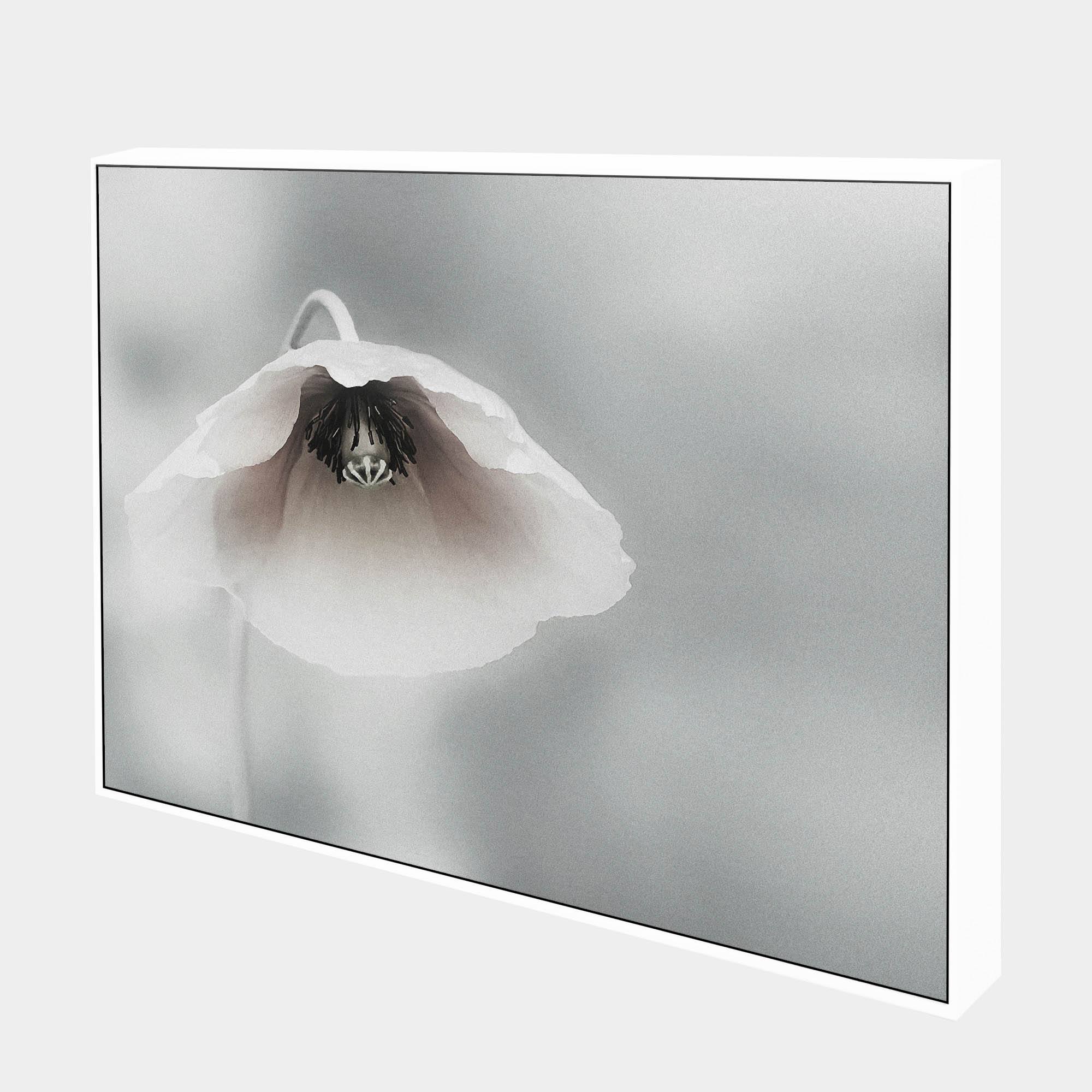 Piet-Side-White-Boxed-G