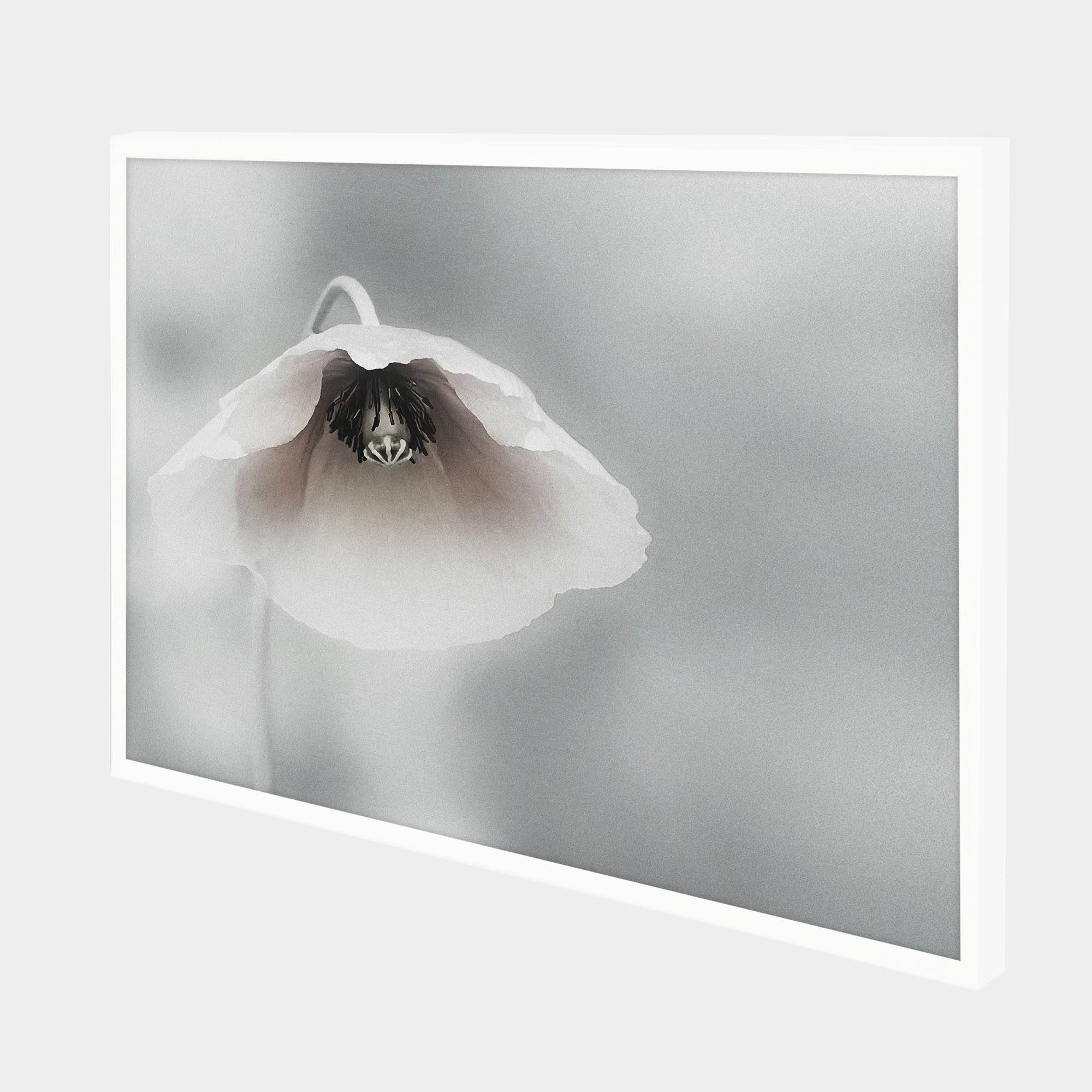 Piet-Side-White-G